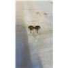 Image 2 : VINTAGE STERLING SILVER GENUINE AMBER STUD EARRINGS