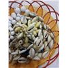 Image 4 : LOT AND TRAY OF SHELL JEWELRY AND SHELLS