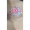 Image 3 : BOX OF NEW LIGHT UP ROSES
