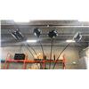 Image 2 : 5 HEAD FLOOR LAMP AND FLOOR LAMP