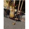 Image 2 : BUNDLE OF GARDEN TOOLS