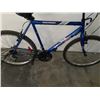 Image 3 : BLUE SPORTEK BIKE