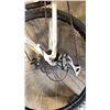 Image 8 : WHITE JAMIS BIKE