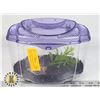 Image 1 : SMALL FISH AQUARIUM/ BOWL WITH PURPLE GRAVEL