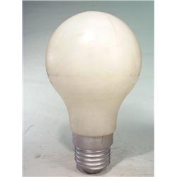 Giant Plastic Light Bulb 3'