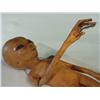 Image 2 : "X-FILES" Screen Used Life Size Foam Style Alien, Brown with Wireframe