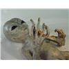 Image 2 : "X-FILES" Screen Used Life Size Foam Style Alien, Grey  with Wireframe