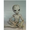 Image 1 : X Files Screen Used Life Size Foam Grey Alien with Wire Frame