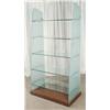 Image 1 : Contemporary Frozted Glass and Chrome Wall Unit Shelf