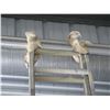 Image 8 : Aluminum Extension Ladder