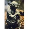Image 1 : Star Wars Frank Oz Autograph Photo