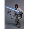Image 1 : Star Wars Mark Hamill Autograph Photo