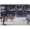 Image 1 : Gladiator Photo Russell Crowe Autographed Signed