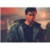 Image 1 : Terminator Arnold Schwarzenegger Autographed Signed Photo