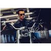 Image 1 : Terminator Arnold Schwarzenegger Autographed Signed Photo