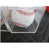 Image 3 : 4-Autographed Mickey Mantle, David Wells, 2003 Tampa Bay Rays Team, Grant