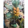 Image 2 : Banana Tree Lamp