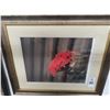 Image 1 : Framed Floral Photo - 20" x 23"