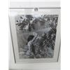 Image 1 : Framed "Field Play" - 18" x 21"