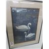 Image 1 : Framed "Swans" - 20" x 26"