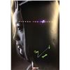 Image 1 : Autographed Avengers Poster