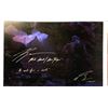 Image 1 : Autographed Avengers Poster