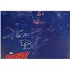 Image 1 : Autograph Signed Daredevil Photo