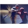 Image 1 : Autograph Signed Spiderman Photo