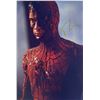 Image 1 : Autograph Signed Spiderman Photo