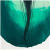 Image 2 : Green Jellyfish Float by Wyland Original