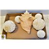 Image 1 : SHOW HOME COLLECTION OF SEA SHELL DCOR