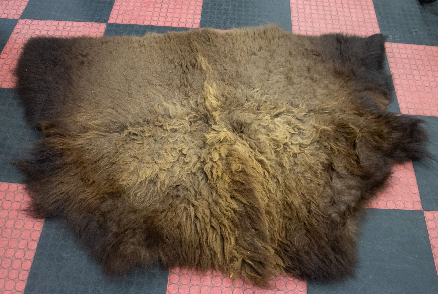 6 FOOT BEARSKIN RUG