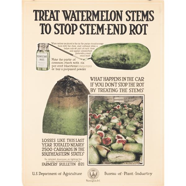 WATERMELON DISEASE - US DEPT OF AGRICULTURE POSTER