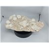 Image 1 : RARE OKENITE WITH APOPHYLLITE ON STILBITE - BIG ZEOLITE MUSEM SPECIMEN
