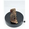Image 2 : EXTRA RARE AMBER CALCITE (ROOT BEER CALCITE)