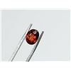 Image 1 : 1.57 ct. SPESSARTITE GARNET