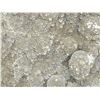 Image 2 : EXCEPTIONALY RARE BLACK GALAXY AMETHYST DRUZY