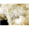 Image 2 : UNBELIEVABLE SPECIMEN! DOG - TOOTH aAND LAMELAR CALCITE WITH MANGANO CALCITE (Strong UV Reaction)