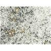 Image 2 : PYRITE IN ACICULAR QUARTZ MATRIX