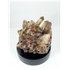 Image 2 : CITRINE CLUSTER