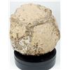 Image 3 : FANTASTIC BIG THUNDER EGG HALF POLISHED