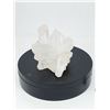 Image 2 : BIG QUARTZ CLUSTER  - With many metaphisycal windows