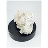 Image 2 : CHRYSANTHEMUM MORIFOLIUM QUARTZ CLUSTER WITH GALENA