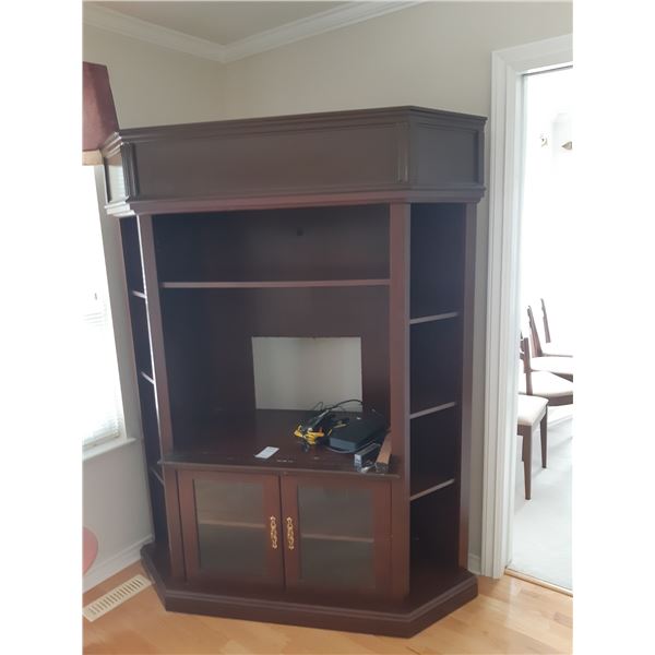 Entertainment Unit Cat C