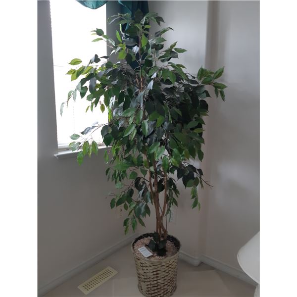 Artificial Plant Cat B