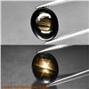 Image 1 : 6.65ct Oval Natural Black-Dark Green 6 Ray Star Sapphire (Heated Glass Filling)