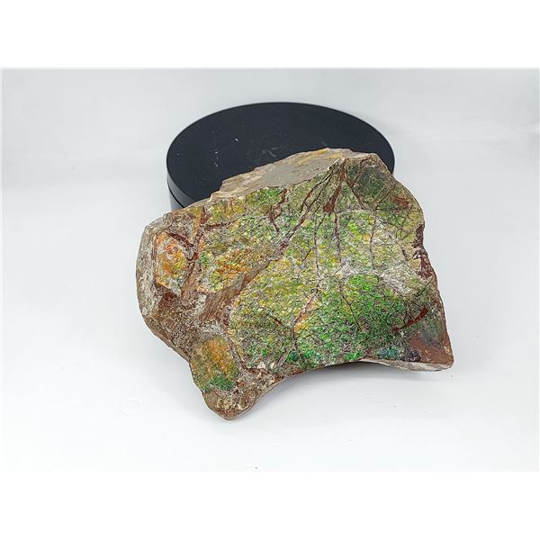 VERY RARE, HUGE AMMOLITE STONE - GREEN IRRIZATIONS