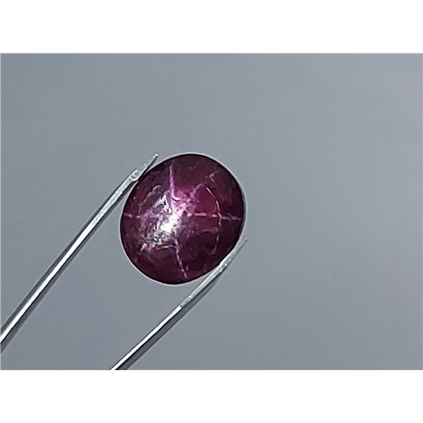 HUGE 13.65 ct. 6 RAYS STAR RUBY