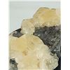 Image 4 : MUSEUM GRADE MERCEDES CALCITE ON FLUORITE MATRIX