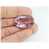 Image 1 : MONSTER AMETHYST 70.90 ct.